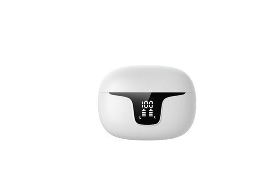 Private Mold Two Mic TWS oortelefoons voor geluidsonderdrukking en HD Voice in In Ear Sports
